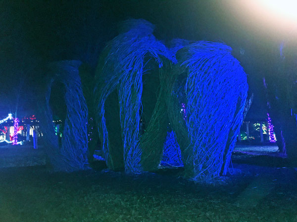 Patrick Dougherty twig maze